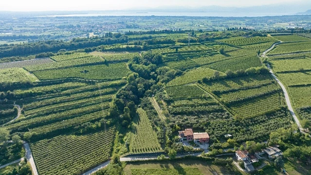 Degustazione Olio Extravergine del Garda: Tour Panoramico ed Esperienza Sensoriale Degustazione Olio Extravergine del Garda: Tour Panoramico ed Esperienza Sensoriale